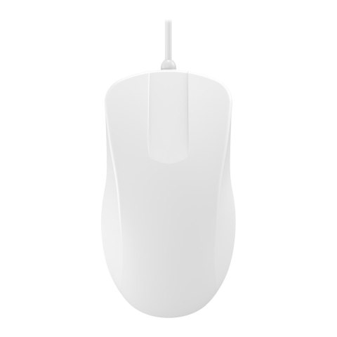 CHERRY AK-PMH1 myszka Medyczna Oburęczny USB Typu-A Optyczny 1000 DPI