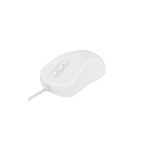 Contour Design Active Key AK-PMH12 myszka Medyczna Oburęczny USB Typu-A Optyczny 1000 DPI
