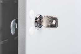 Szafa wisząca DIGITUS Professional DN-19 WM-V6U-SL cabinet - 6U