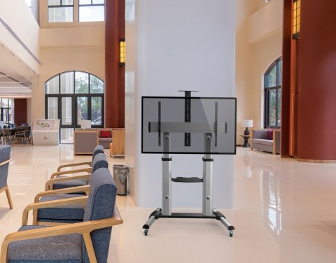 Uchwyt do telewizora Equip Base 650605 60' - 100'