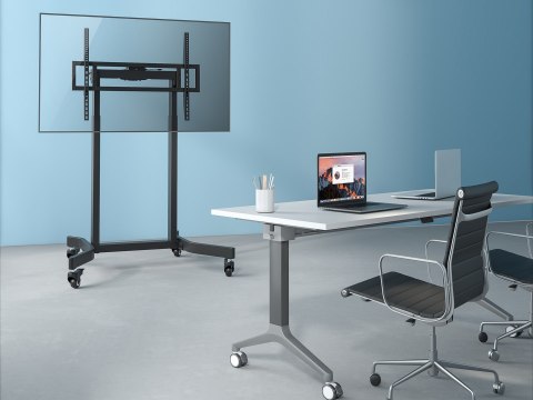 Uchwyt na stojak podłogowy Equip 55-100"/1TFT 120kg lite Sprzedaż detaliczna (650632)