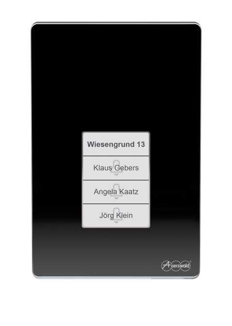 Terminal kontroli dostępu Auerswald TFS-Dialog 400