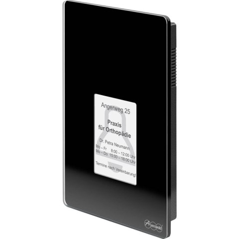 Terminal kontroli dostępu Auerswald TFS-Dialog 400