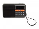 BLOW Radio przenośne analogowe AM/FM Bluetooth RA18
