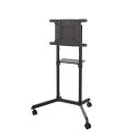 Zestaw TV Floor Stand 37-70" NS-M1250BLACK NEWSTAR