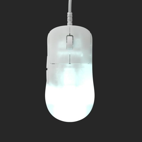 Mysz gamingowa Endgame Gear OP1 RGB Po prawej stronie USB Typu-A Optyczny 26000 DPI