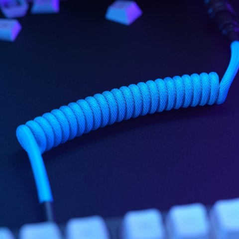 Glorious Gaming GLO-KB-ACC-CBL-COIL-EBLU kabel klawiatury/myszy Jasny Niebieski 1,4 m