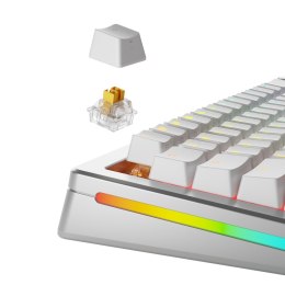 Glorious Gaming GLO-KB-ACC-SWT-PANDA-HE-36 bez kategorii