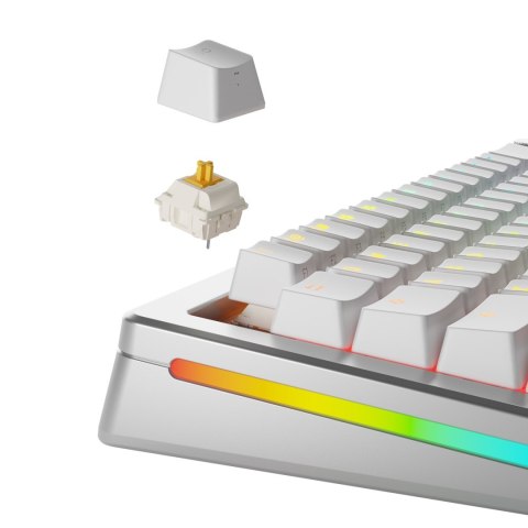 Glorious Panda Przełączniki standardowe, mechaniczne, 5-pinowe, dotykowe, MX-Stem, 50g - nasmarowane, 36 sztuk