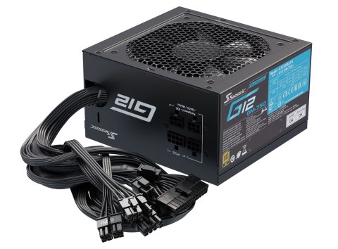 Seasonic Focus Gold 750 moduł zasilaczy 750 W 20+4 pin ATX ATX Czarny