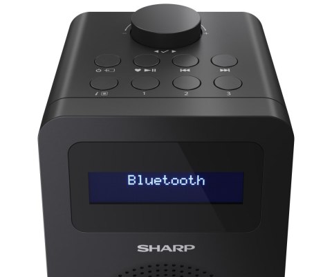 Sharp DR-430 Osobisty Cyfrowy Czarny