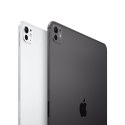 Apple iPad Pro 11 Wi-Fi + Cellular 256GB space schwarz (5.Gen.)