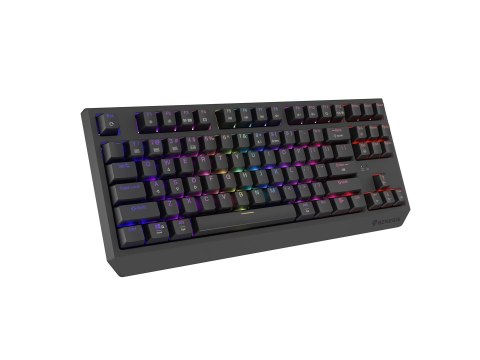 Klawiatura Genesis Thor 230 TKL NKG-2106 Wless (RapidSpeed Wireless, BT, USB) Standardowy (US) Czarna