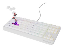 Klawiatura GENESIS Thor 230 TKL Gaming USB QWERTY US English Biały
