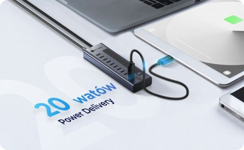IcyBox HUB IB-HUB1450-C31 10 x USB TYPE-C Gen 2 z zasilaczem