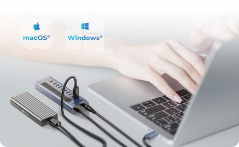 IcyBox HUB IB-HUB1450-C31 10 x USB TYPE-C Gen 2 z zasilaczem