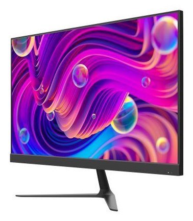 Monitor DS-D5024F2-BV2S