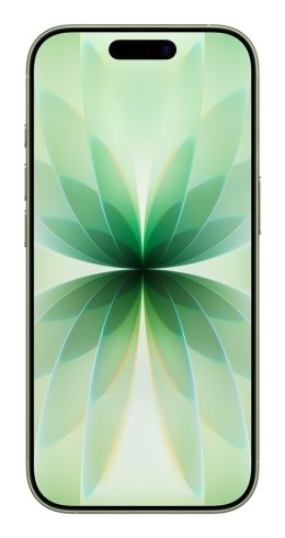 Apple iPhone 17 16 cm (6.3