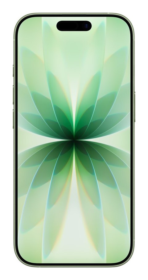 Apple iPhone 17 16 cm (6.3") Dual SIM iOS 26 5G USB Type-C 512 GB Szałwia