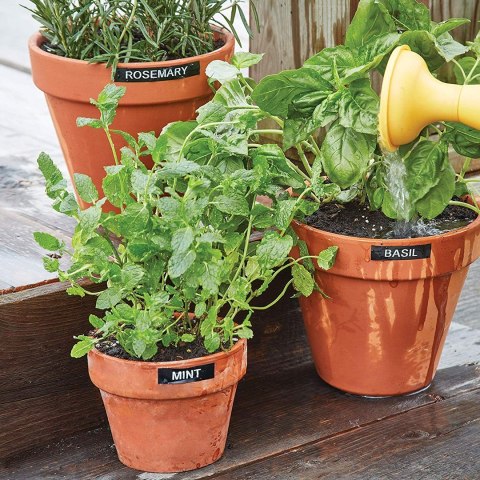 DYMO LabelManager 160 6/9/12 mm D1-BĂ¤nder Azerty