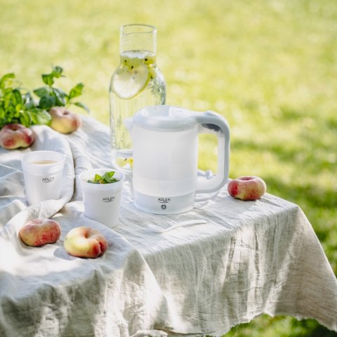 Czajnik elektryczny ADLER AD 1381