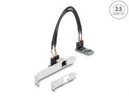 DeLOCK Konwerter M.2 z kluczem B+M 1 x RJ45 2,5 Gigabit LAN