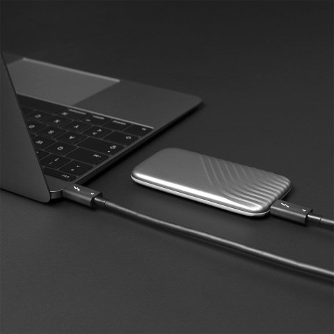 Lindy 31120 kabel Thunderbolt 1 m 40 Gbit/s Czarny