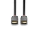 Lindy 36485 kabel DisplayPort 7,5 m Czarny