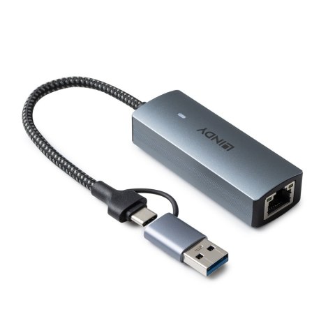 Lindy 43415 huby i koncentratory USB 3.2 Gen 2 (3.1 Gen 2) Type-C 5000 Mbit/s Szary