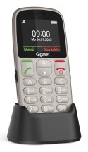 Gigaset GL395 5,59 cm (2.2") 90 g Szary Telefon dla seniora