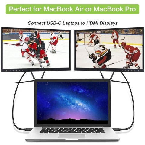 Techly IADAP USBC-HDMI2TY zewnętrzna karta graficzna usb 3840 x 2160 px Czarny