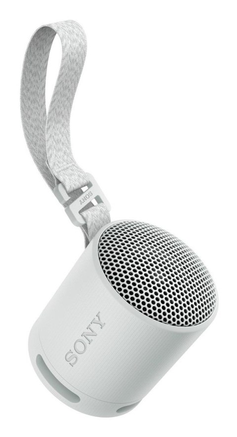 Sony SRS-XB100 Głośnik mono przenośny Szary