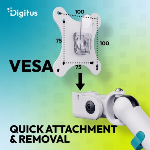 Digitus Ramię biurkowe podwójne z zaciskiem i sprężyną mechaniczną 2x LCD max. 35" obciążenie 2x10kg, VESA: 75x75, 100x100, białe