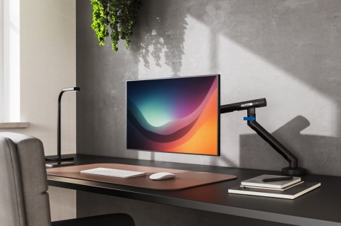 Digitus Ramię biurkowe pojedyncze z zaciskiem i sprężyną mechaniczną 1x LCD max. 35" 10kg, VESA: 75x75, 100x100, czarne