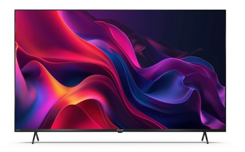 Sharp Telewizor LED 55 cali 55GK4245E