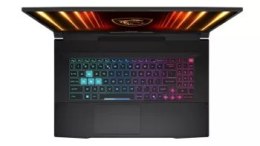 Laptop MSI Katana 17 HX B14WGK-036XPL i7-14650HX 17.3