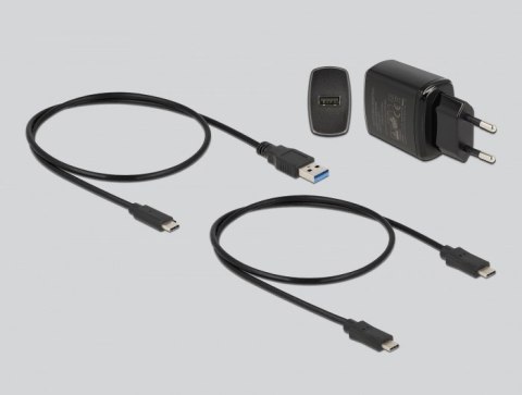 DeLOCK Stacja dokująca M.2 dla 2 x M.2 SATA SSD z funkcją klonowania