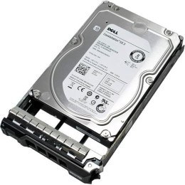 DELL 400-BRCT dysk twardy 2 TB 7200 RPM 3.5
