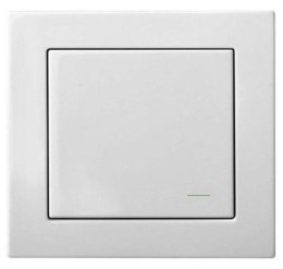 WIRELESS SWITCH (RJ-314)