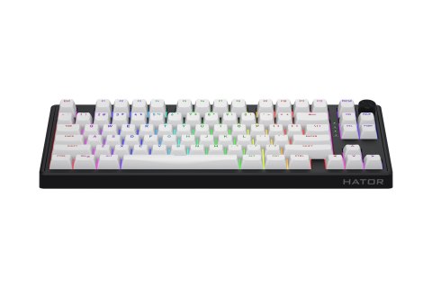 HATOR Skyfall 80 MAG ULTRA 8K klawiatura Gaming USB QWERTY US English Czarny, Biały