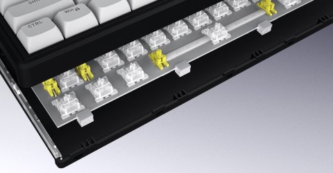 HATOR Skyfall 80 MAG ULTRA 8K klawiatura Gaming USB QWERTY US English Czarny, Biały