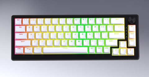 HATOR Skyfall 80 MAG ULTRA 8K klawiatura Gaming USB QWERTY US English Czarny, Biały