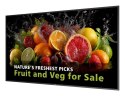 Philips 5000 series 65BDL5050D/00 signage display 165,1 cm (65") LCD Wi-Fi 600 cd/m2 Full HD Czarny Procesor wbudowany Android