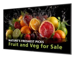 Philips 5000 series 65BDL5050D/00 signage display 165,1 cm (65