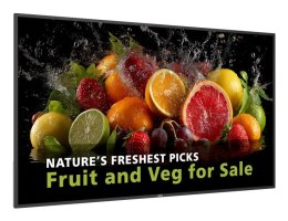 Philips 5000 series 65BDL5050D/00 signage display 165,1 cm (65