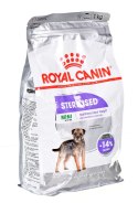 ROYAL CANIN Mini Sterilised - sucha karma dla psa - 1kg