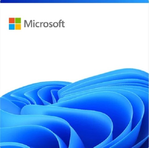 10-year audit log retention - 10-Year Audit Log Retention Add On for FLW MICROSOFT CFQ7TTC0HL8Z:0005 CSP