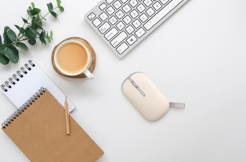 ASUS Marshmallow Mouse MD100 myszka Oburęczny RF Wireless + Bluetooth Optyczny 1600 DPI