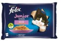 FELIX Fantastic Junior Kurczak, Łosoś - mokra karma dla kociąt - 4x85g